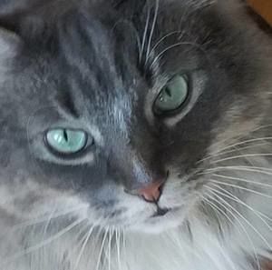 Meet your Posher, Kerri